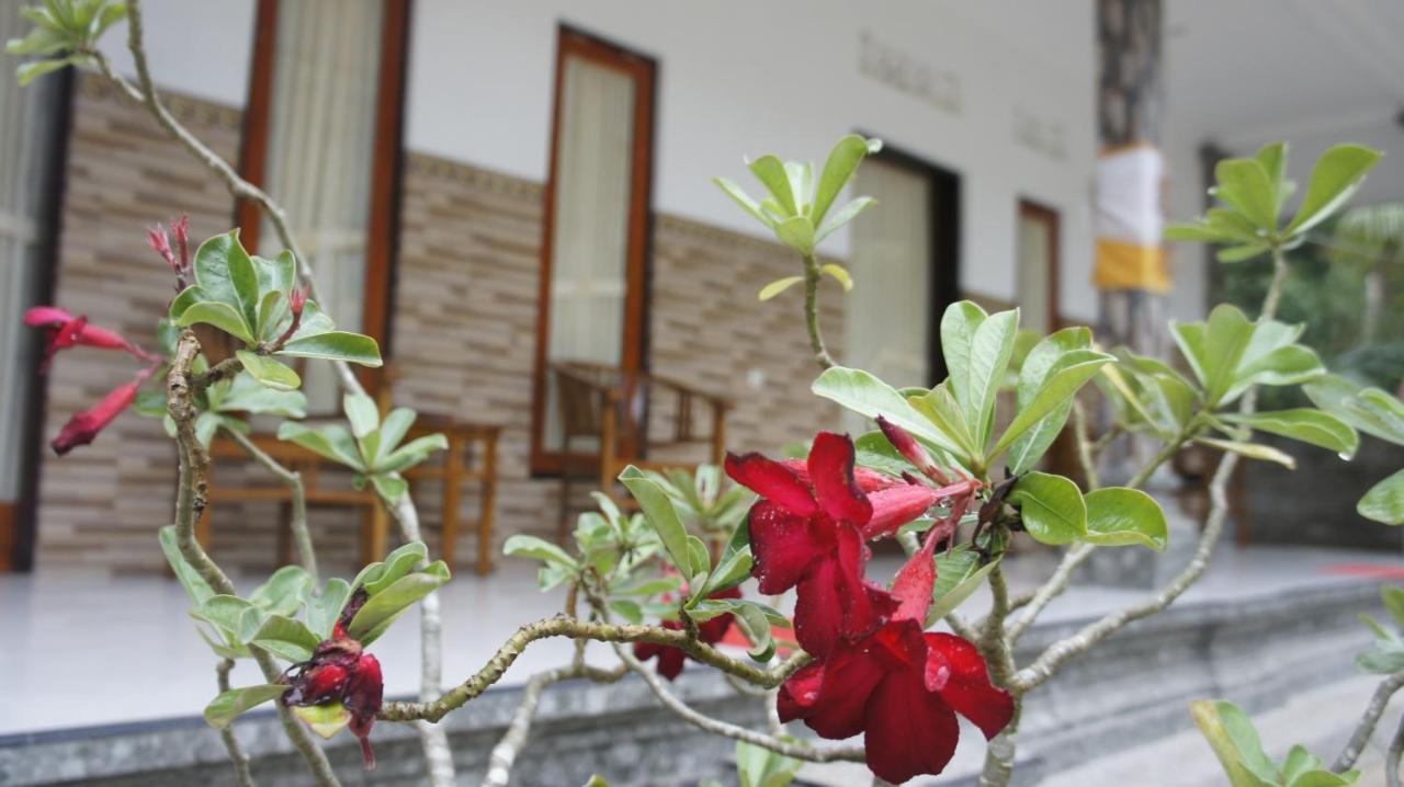Klotok Home Stay Nusa Batununggul Exteriör bild